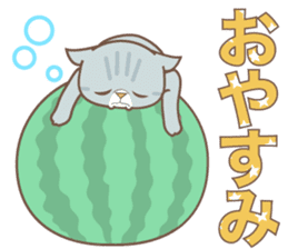 sorry , I'm a cat5 - summer - sticker #11673225
