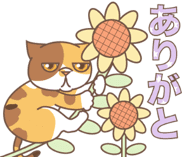 sorry , I'm a cat5 - summer - sticker #11673230
