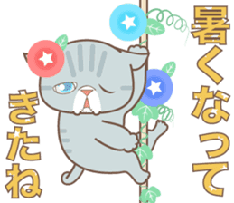 sorry , I'm a cat5 - summer - sticker #11673232
