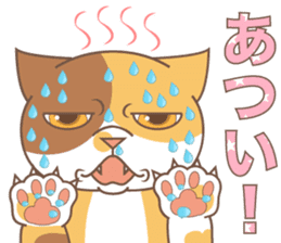 sorry , I'm a cat5 - summer - sticker #11673233