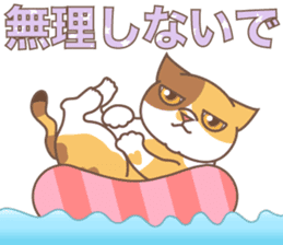 sorry , I'm a cat5 - summer - sticker #11673241