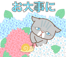 sorry , I'm a cat5 - summer - sticker #11673242