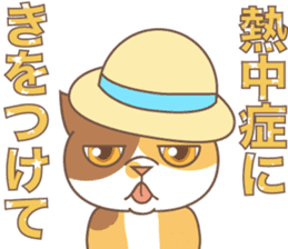 sorry , I'm a cat5 - summer - sticker #11673245