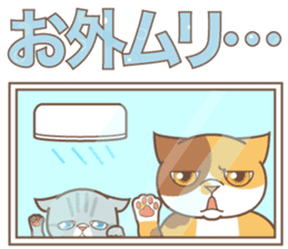 sorry , I'm a cat5 - summer - sticker #11673246
