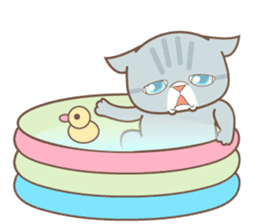 sorry , I'm a cat5 - summer - sticker #11673247