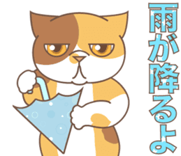 sorry , I'm a cat5 - summer - sticker #11673248