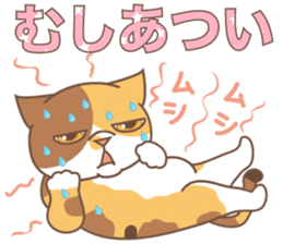 sorry , I'm a cat5 - summer - sticker #11673253