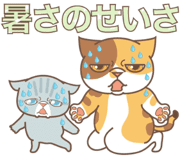 sorry , I'm a cat5 - summer - sticker #11673254