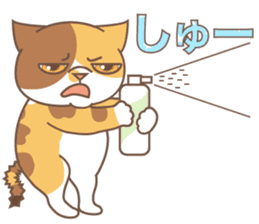 sorry , I'm a cat5 - summer - sticker #11673258