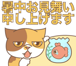 sorry , I'm a cat5 - summer - sticker #11673260