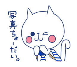 marine cat sticker #11675214