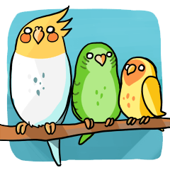 Bird Circle - Life