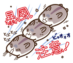 Hamster / Nagomu Summer sticker #11678443