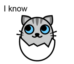 Egg cat - Youth go abroad sticker #11679206