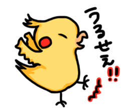 cockatiel named Konatsu sticker #11682881