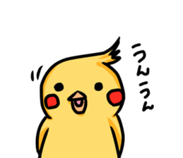 cockatiel named Konatsu sticker #11682884