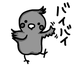 cockatiel named Konatsu sticker #11682885