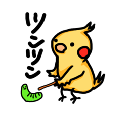cockatiel named Konatsu sticker #11682890