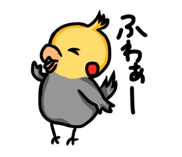 cockatiel named Konatsu sticker #11682892
