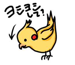 cockatiel named Konatsu sticker #11682896