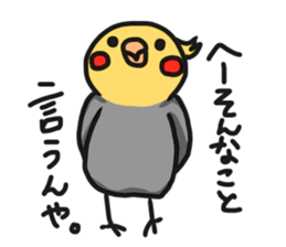 cockatiel named Konatsu sticker #11682898