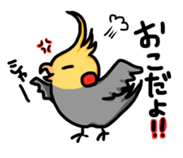 cockatiel named Konatsu sticker #11682901