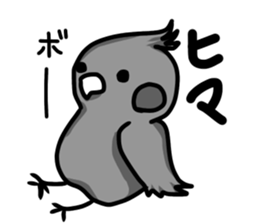 cockatiel named Konatsu sticker #11682903
