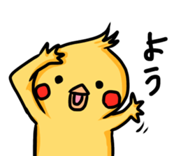 cockatiel named Konatsu sticker #11682908