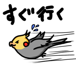 cockatiel named Konatsu sticker #11682909