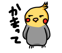 cockatiel named Konatsu sticker #11682915