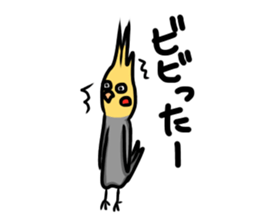 cockatiel named Konatsu sticker #11682916