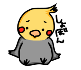 cockatiel named Konatsu sticker #11682917