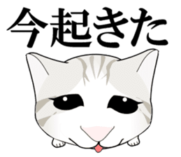 A Kitten sticker #11684321