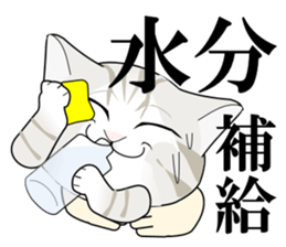 A Kitten sticker #11684333