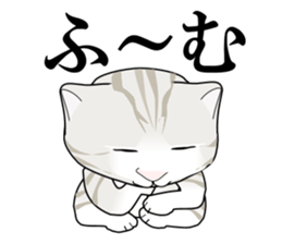 A Kitten sticker #11684334