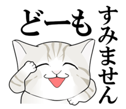 A Kitten sticker #11684335