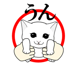 A Kitten sticker #11684336