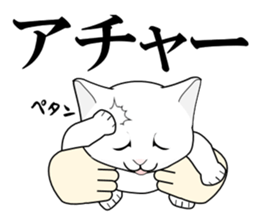 A Kitten sticker #11684342