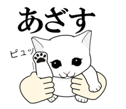A Kitten sticker #11684348