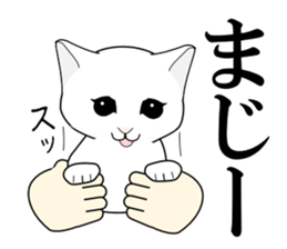 A Kitten sticker #11684349