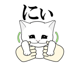 A Kitten sticker #11684351