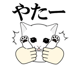 A Kitten sticker #11684356