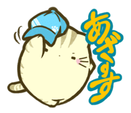 Cat of student sticker #11686693