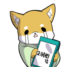 Everyday of Hachi and Babi sticker #11686748