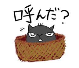 the black cat is this sticker #11687285