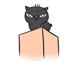 the black cat is this sticker #11687308