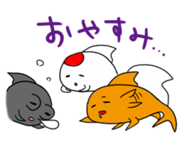 PRETTY GOLDFISH sticker #11688043