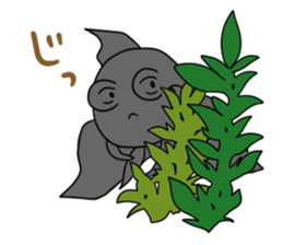 PRETTY GOLDFISH sticker #11688063