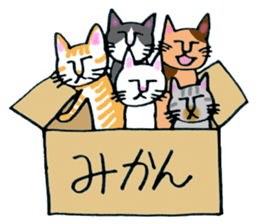 Soooo cute! cats sticker. sticker #11690125