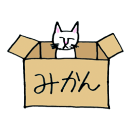 Soooo cute! cats sticker. sticker #11690126